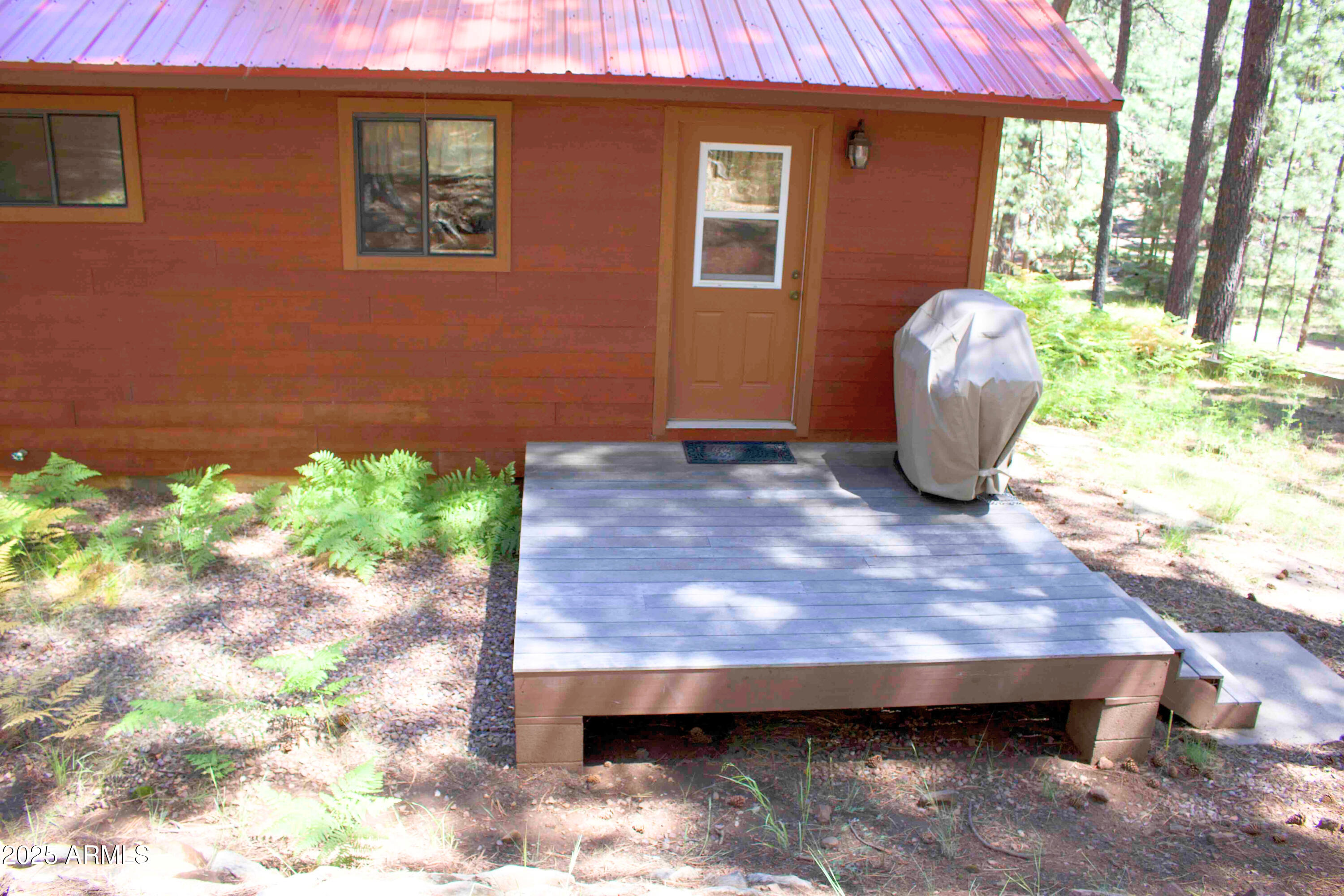 2592 Tom Loop Forest Lakes, AZ 85931 - Photo 19 of 25 a view of backyard with cabin