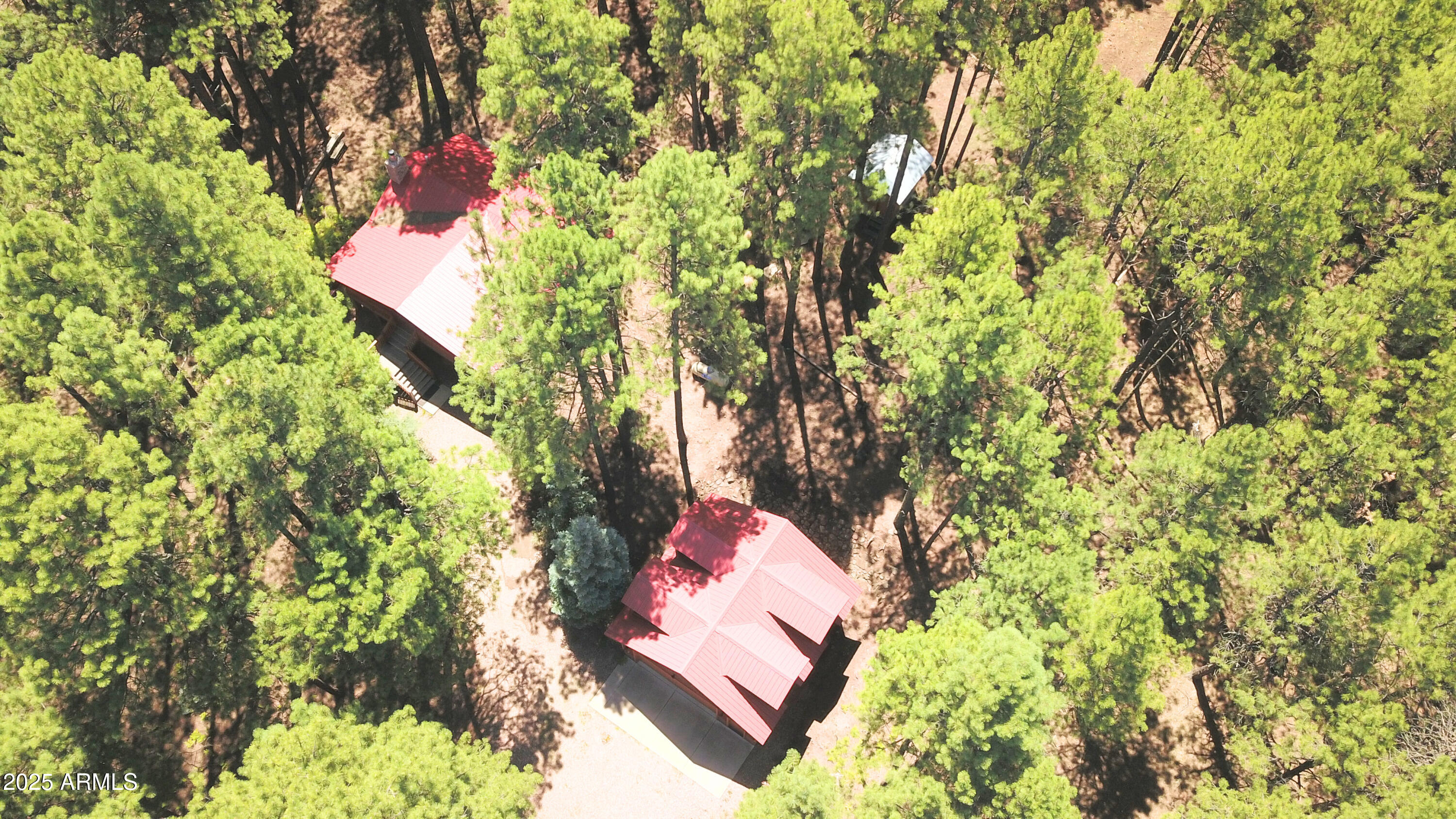 2592 Tom Loop Forest Lakes, AZ 85931 - Photo 24 of 25 a view of tree