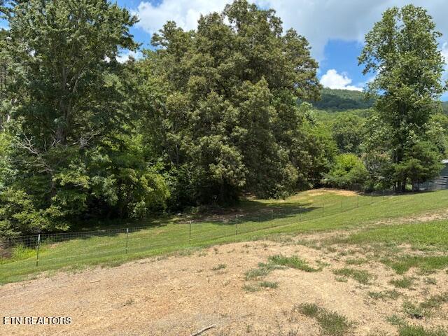 917 Poor Valley Road Rogersville, TN 37857 - Photo 29 of 34 29