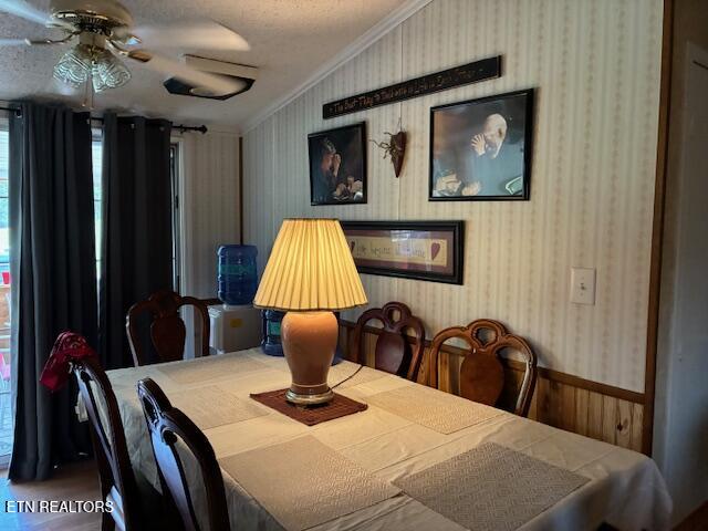 917 Poor Valley Road Rogersville, TN 37857 - Photo 8 of 34 33