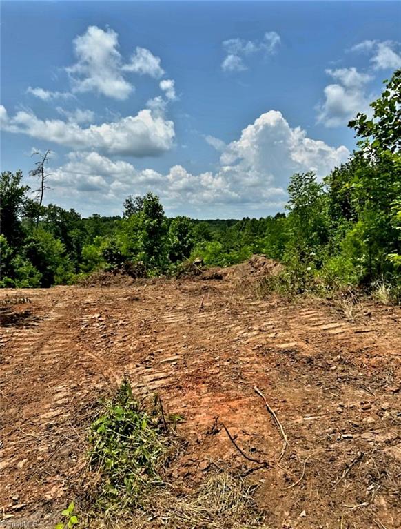 3063 Hart Road Lawsonville, NC 27022 - Photo 11 of 49