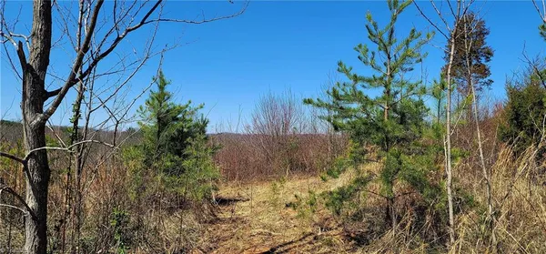 $485,000 | 3063 Hart Road, Lawsonville, NC 27022