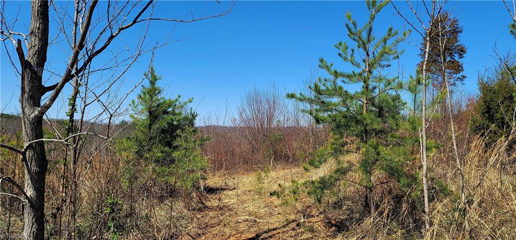 3063 Hart Road Lawsonville, NC 27022 - Photo 15 of 49