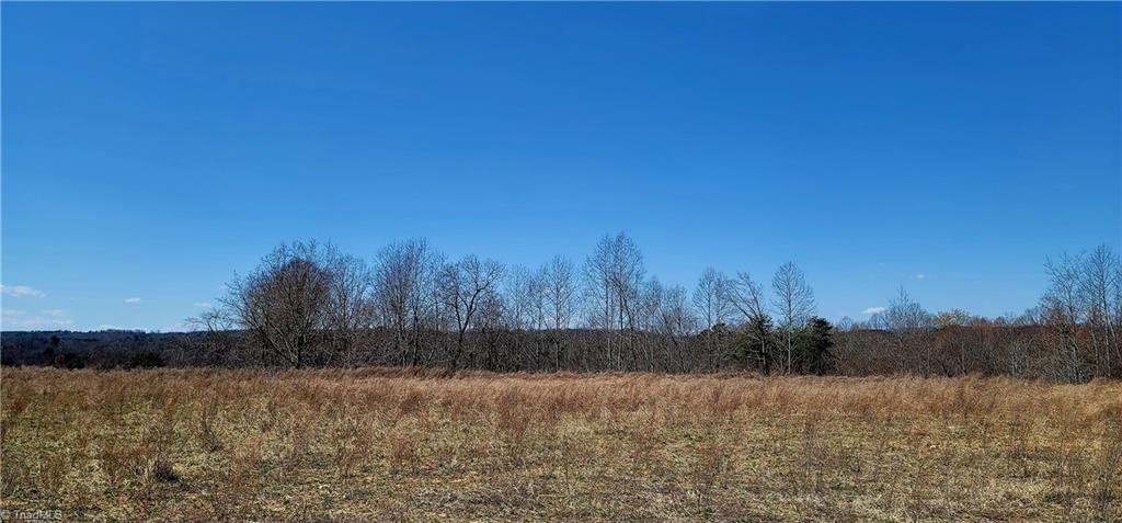 3063 Hart Road Lawsonville, NC 27022 - Photo 18 of 49