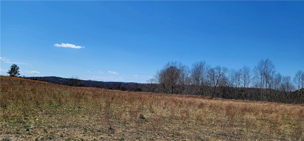 3063 Hart Road Lawsonville, NC 27022 - Photo 46 of 49