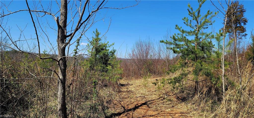 3063 Hart Road Lawsonville, NC 27022 - Photo 47 of 49