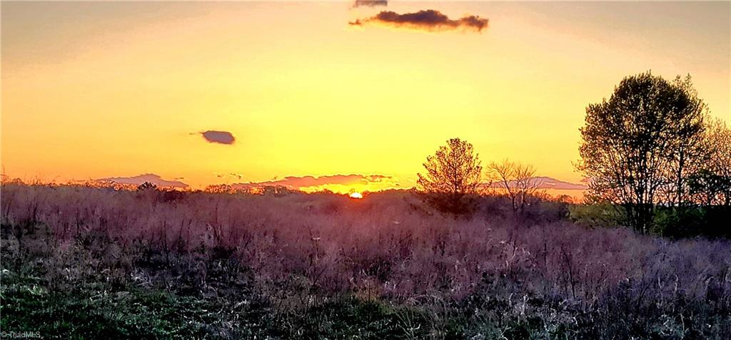 3063 Hart Road Lawsonville, NC 27022 - Photo 48 of 49