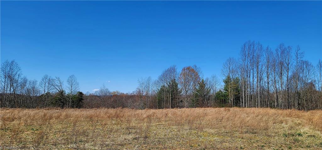 3063 Hart Road Lawsonville, NC 27022 - Photo 7 of 49