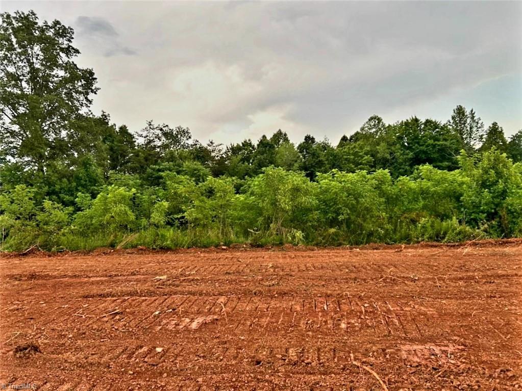 3063 Hart Road Lawsonville, NC 27022 - Photo 10 of 49