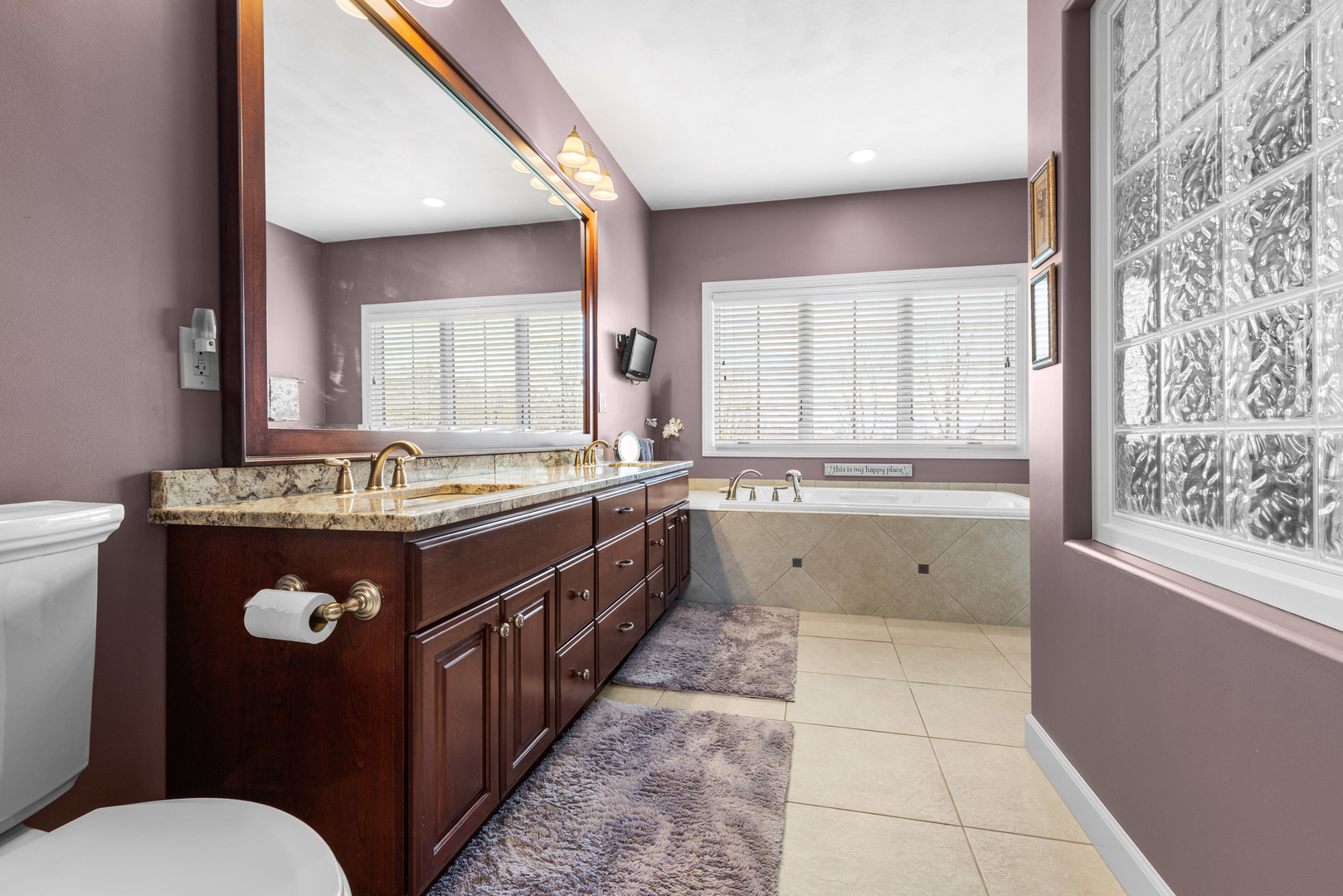 10125 Creek Ridge Trail Belvidere, IL 61008 - Photo 15 of 41 a bathroom with a sink a toilet a mirror and a tub