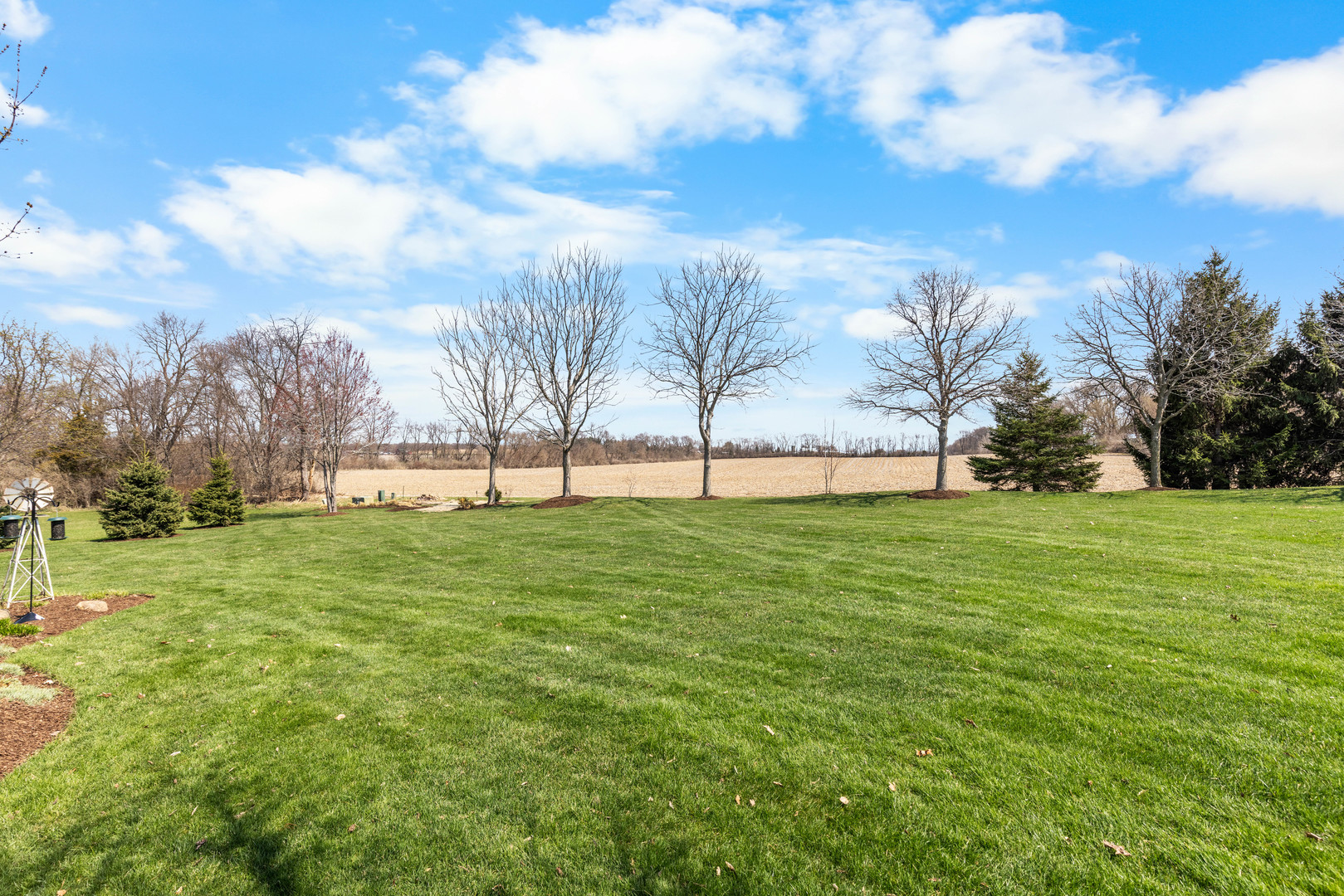 10125 Creek Ridge Trail Belvidere, IL 61008 - Photo 33 of 41 a view of grassy field with trees