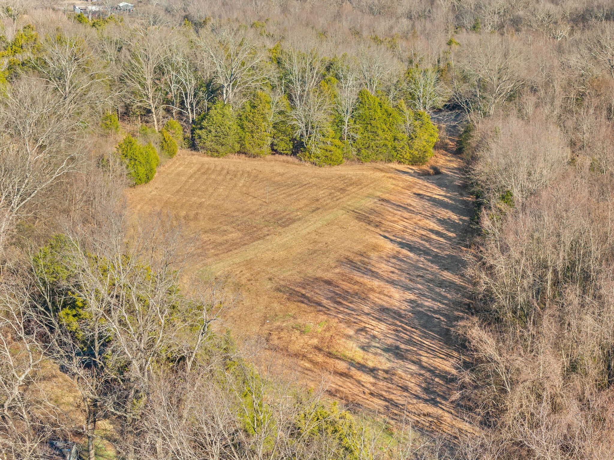 1071 Scott Road Bethpage, TN 37022 - Photo 17 of 32 a view of yard