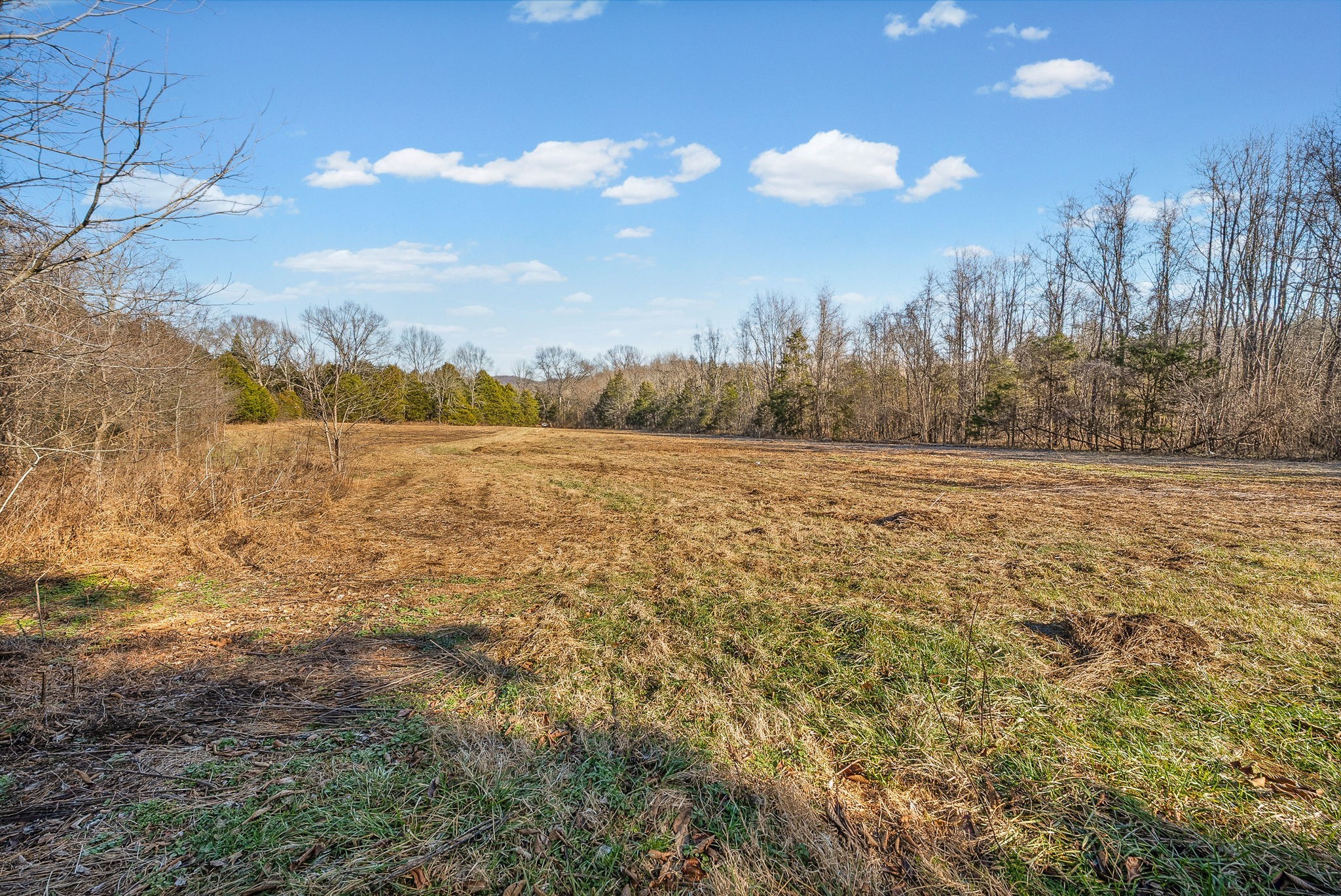 1071 Scott Road Bethpage, TN 37022 - Photo 20 of 32