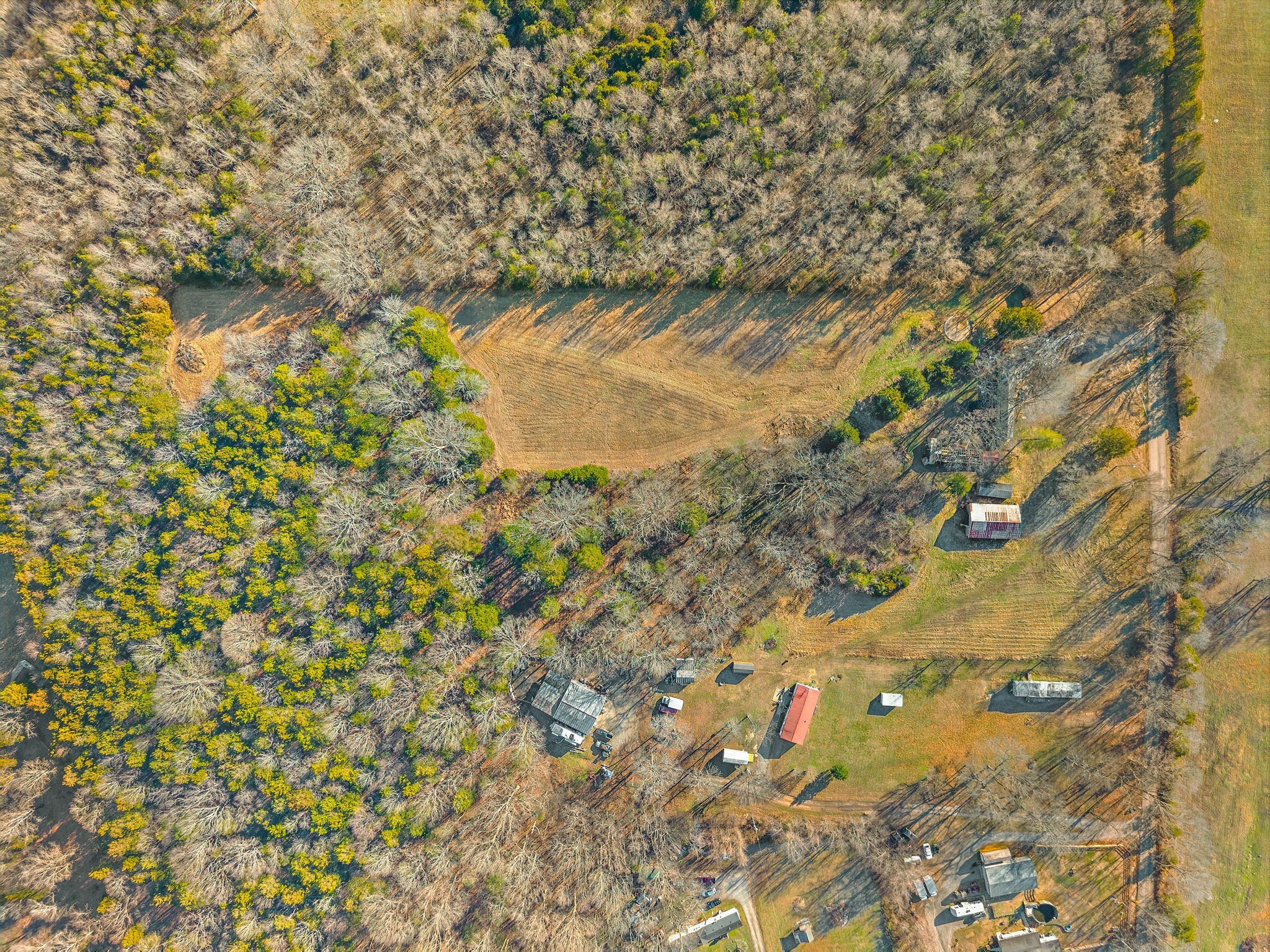 1071 Scott Road Bethpage, TN 37022 - Photo 24 of 32 a close up of a tree