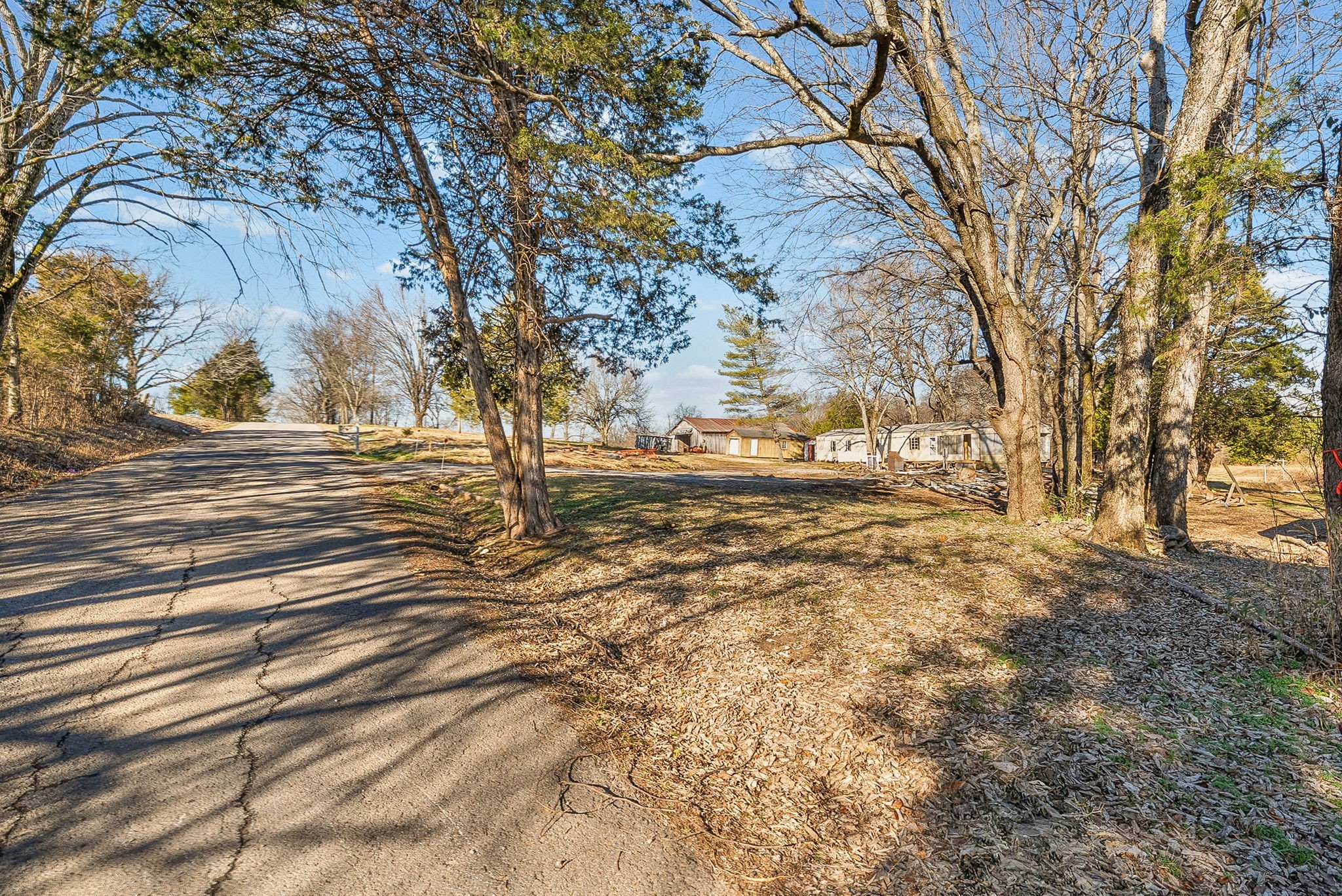 1071 Scott Road Bethpage, TN 37022 - Photo 8 of 32 a view of yard with tree in the background