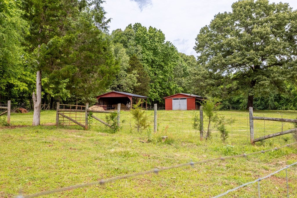 11393 Skipwith Road Chase City, VA 23924 - Photo 31 of 54 Gallery Image 31