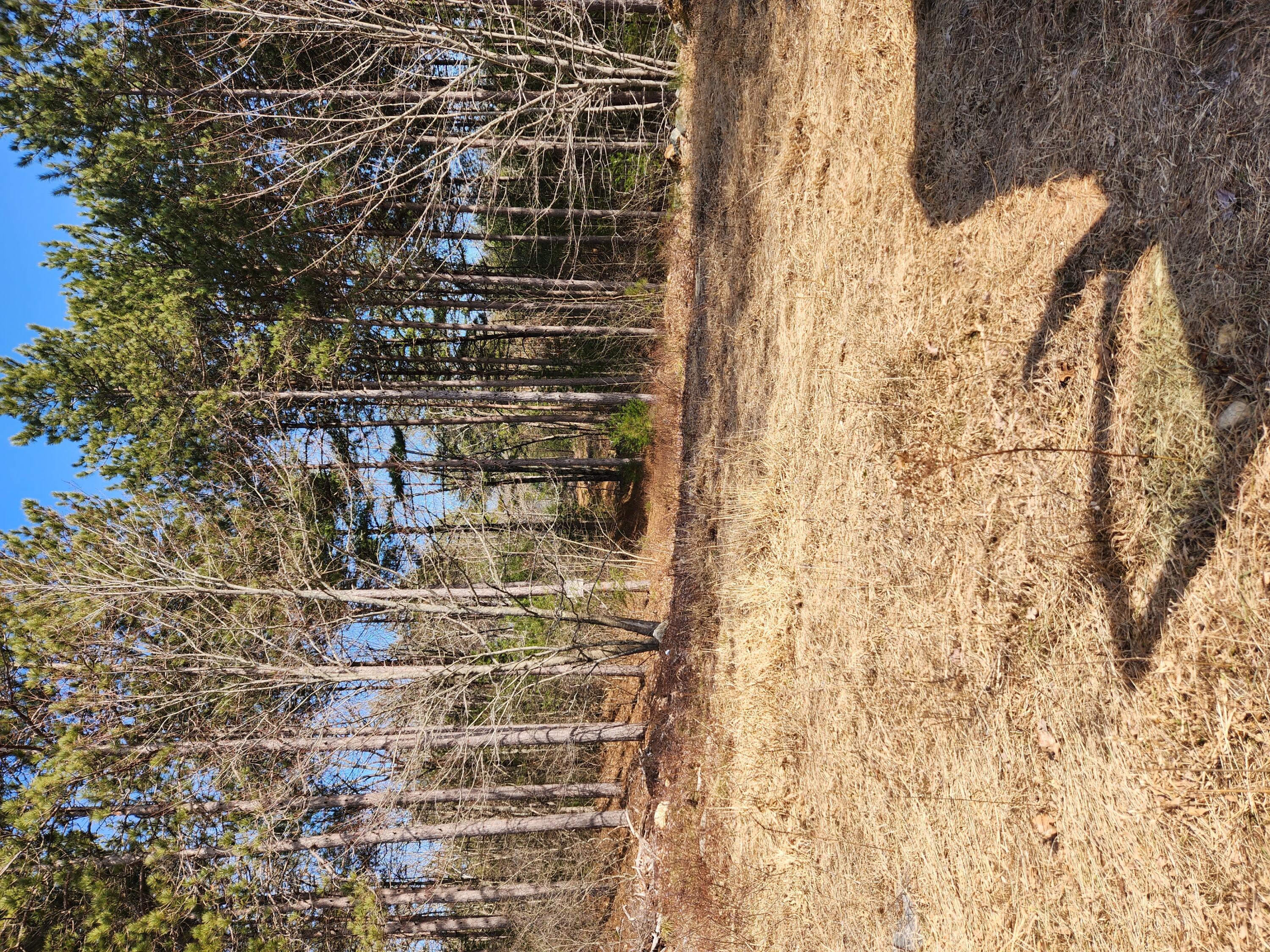 Lot 8 Lake Ridge Road West Newfield, ME 04095 - Photo 4 of 4 Lake Ridge 3