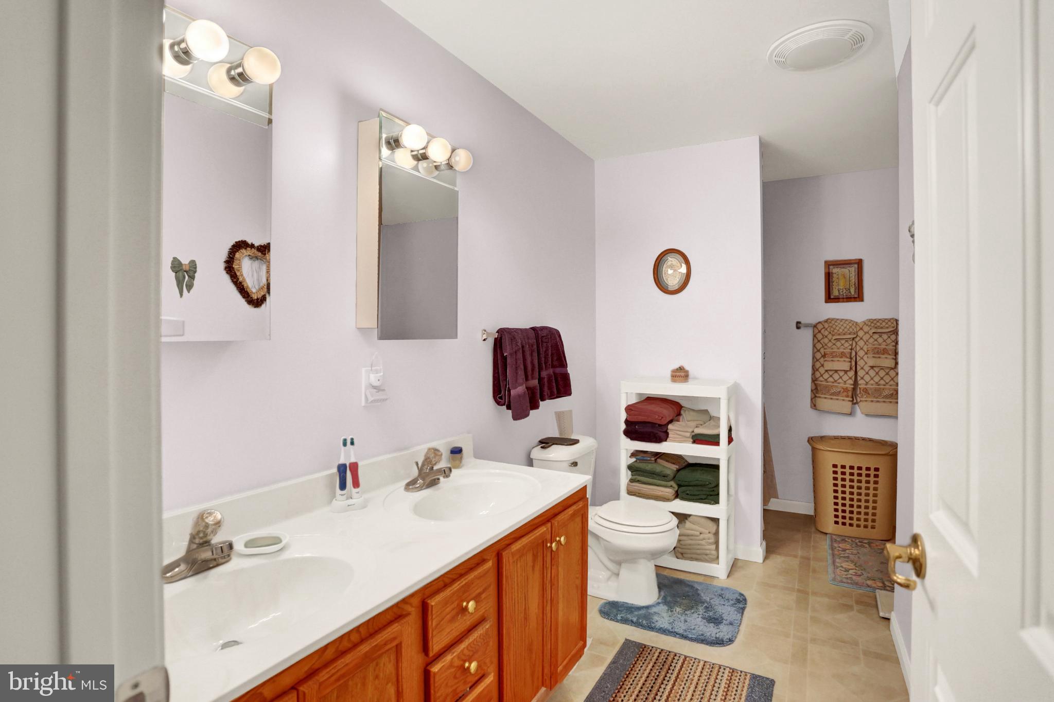 1394 Paige Ridge Road New Bloomfield, PA 17068 - Photo 22 of 49 Owners bath with walk-in shower.
