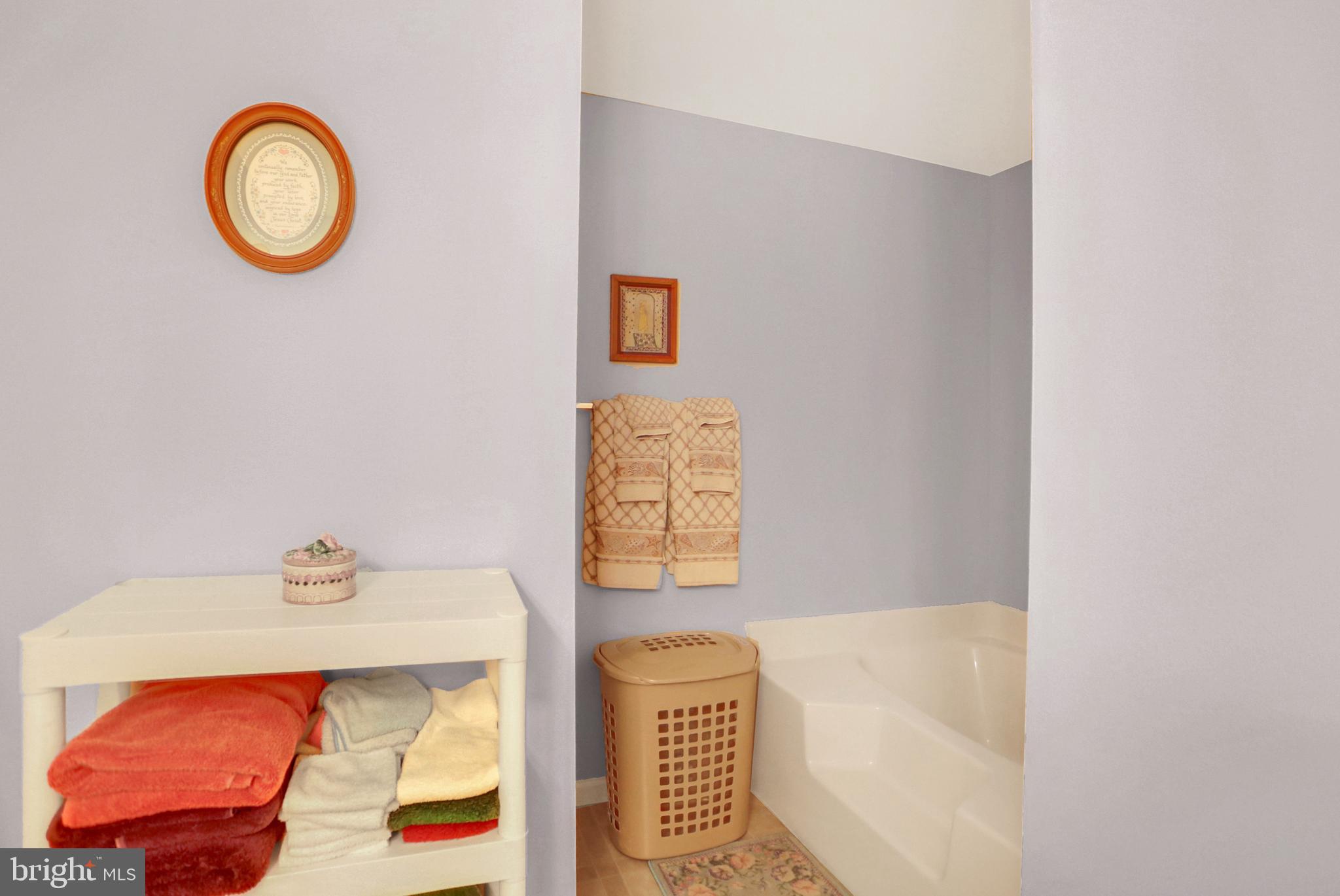 1394 Paige Ridge Road New Bloomfield, PA 17068 - Photo 24 of 49 Soaking tub.