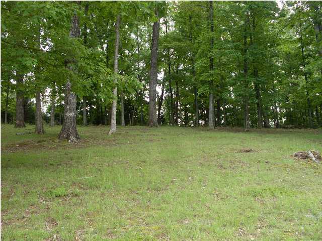 13710 Stormer Road Soddy Daisy, TN 37379 - Photo 22 of 24 Additional Photo