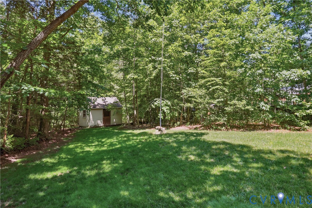12512 2nd Branch Road Chesterfield, VA 23838 - Photo 43 of 56 a view of a big yard with plants and large trees
