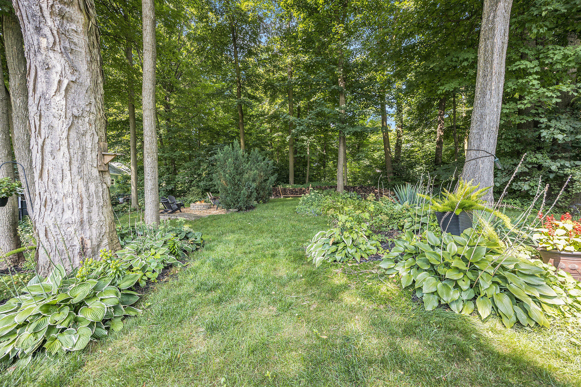 8781 Conifer Ridge Drive Southwest Byron Center, MI 49315 - Photo 45 of 53 Trees