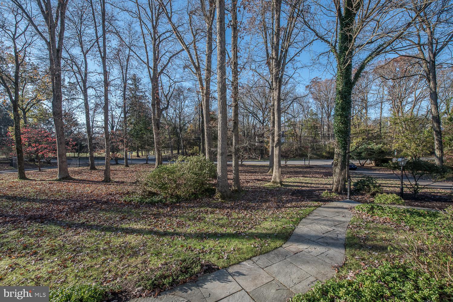 135 Grubb Road Malvern, PA 19355 - Photo 6 of 45 View from front door