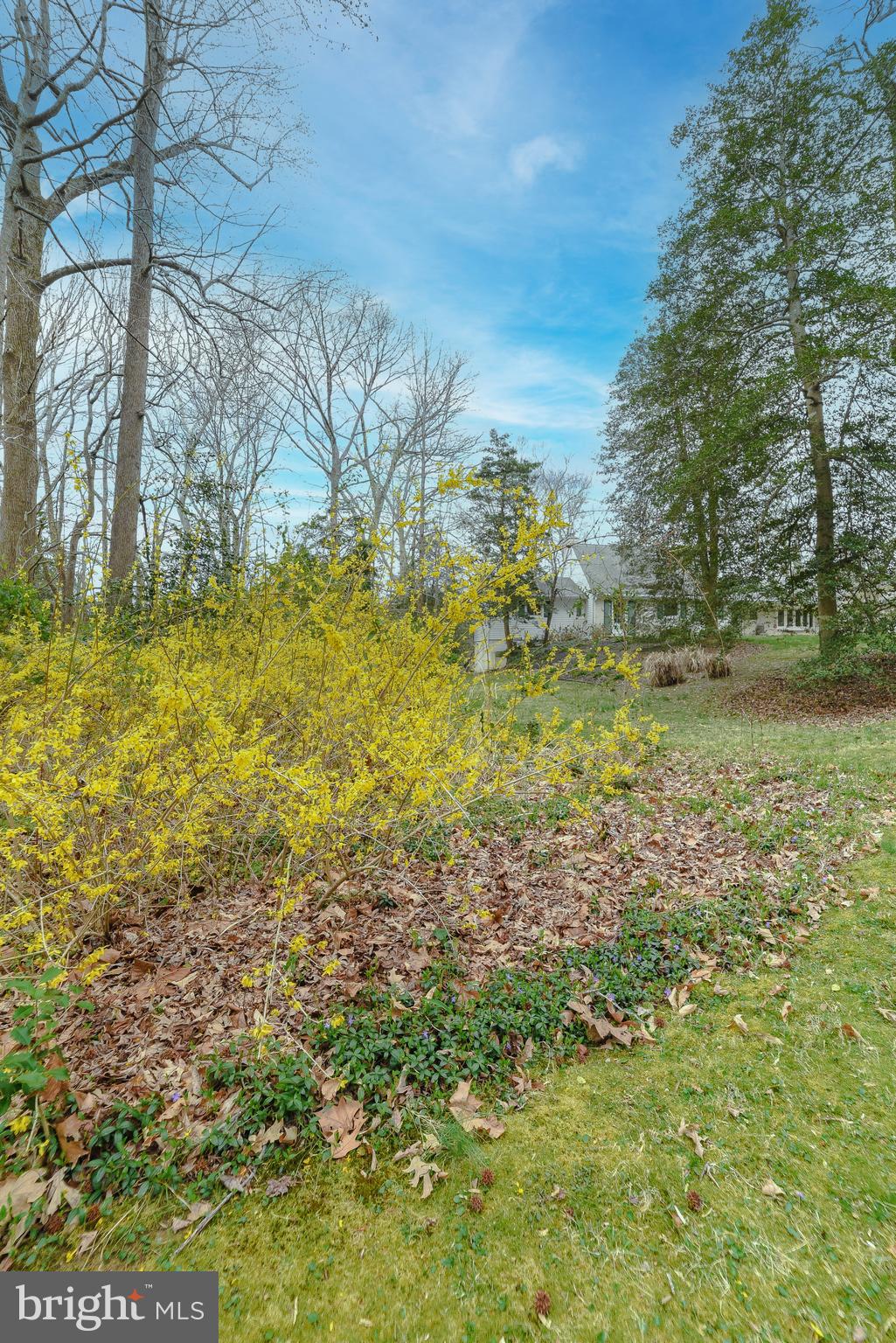 24093 Mill Cove Road California, MD 20619 - Photo 7 of 68 Gallery Image 7