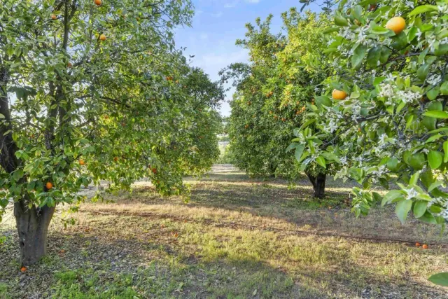 a view of backyard with green space