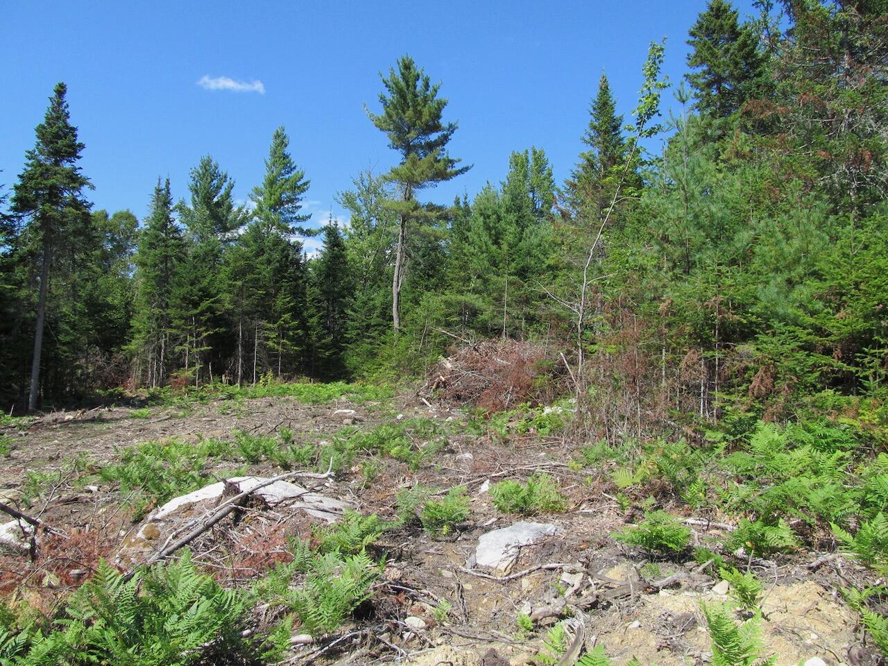 929 Center Hill Road Weld, ME 04285 - Photo 14 of 20