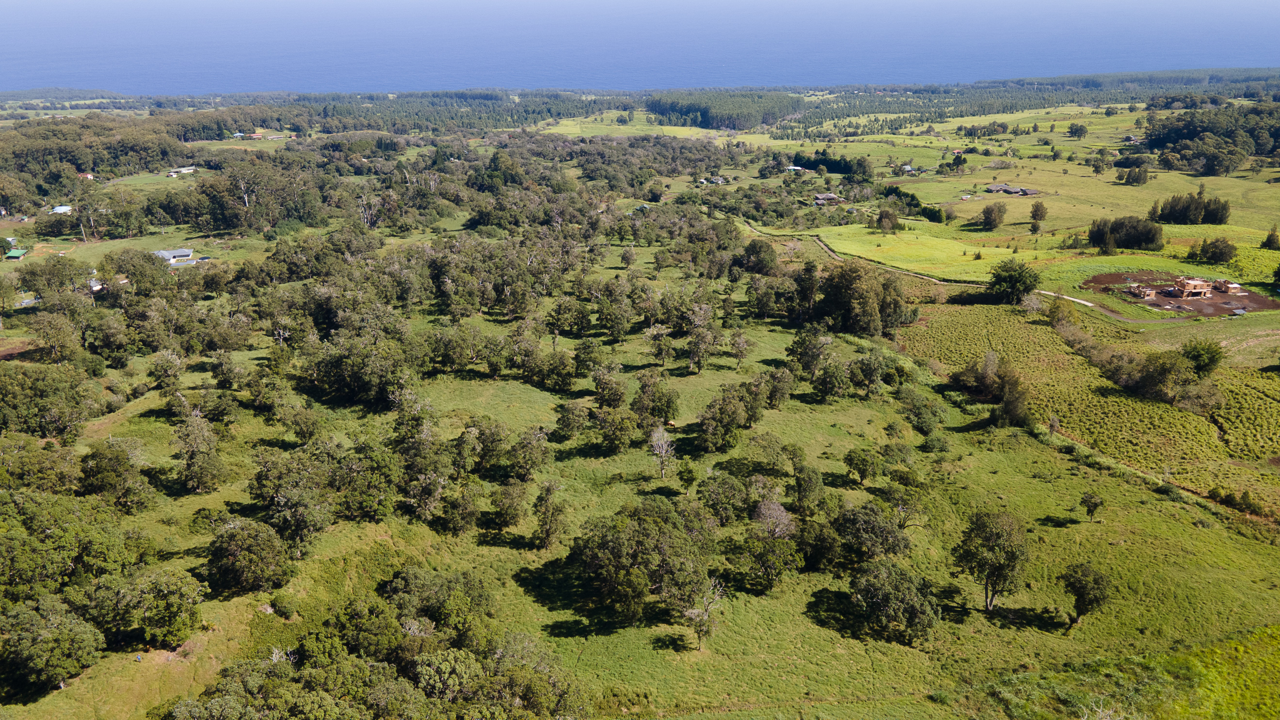 43-1815 Manienie Road Paauilo, HI 96776 - Photo 13 of 17