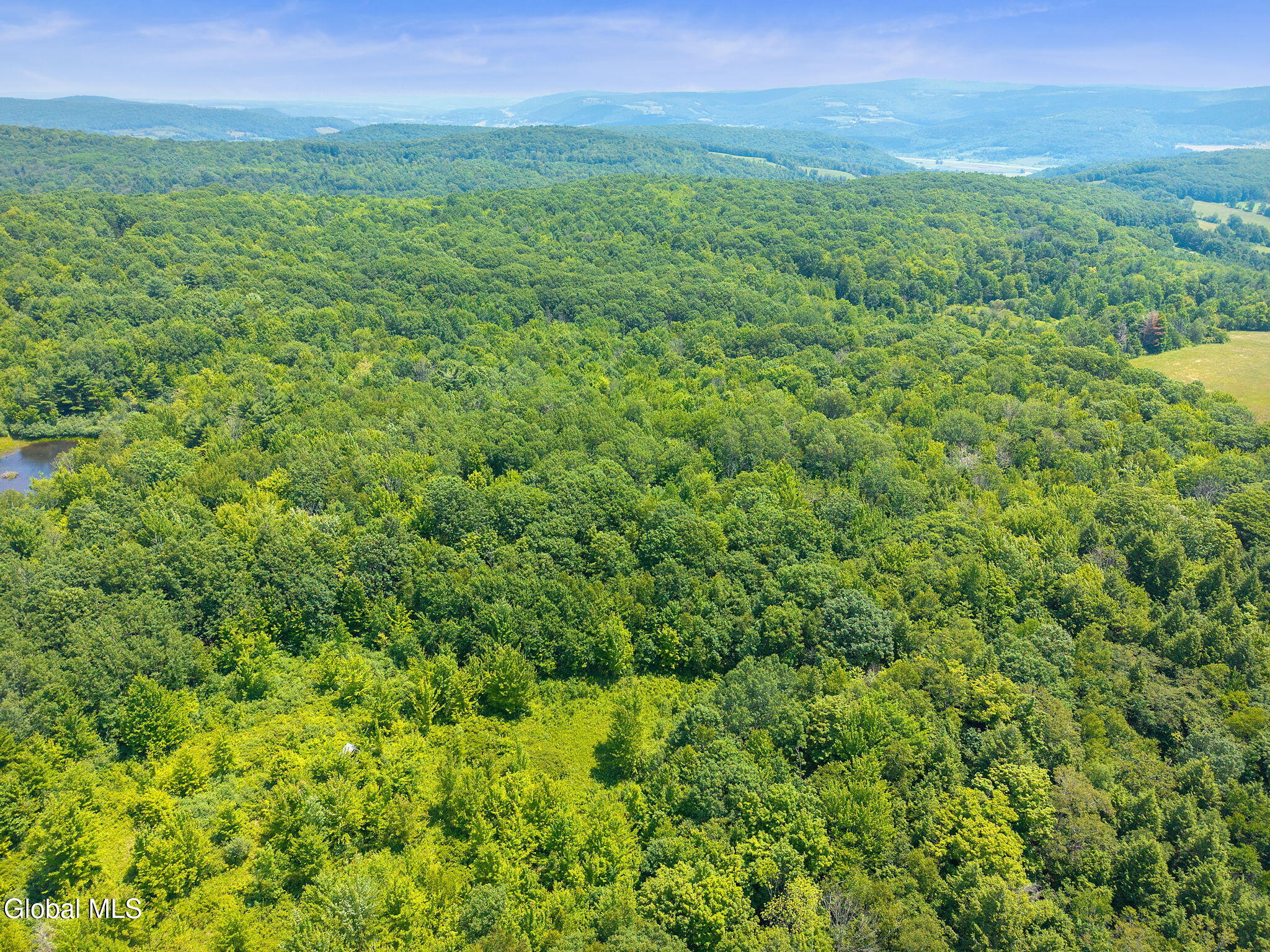 L7 Harroway Road Cobleskill, NY 12043 - Photo 11 of 44 13-HarrowayRd_13