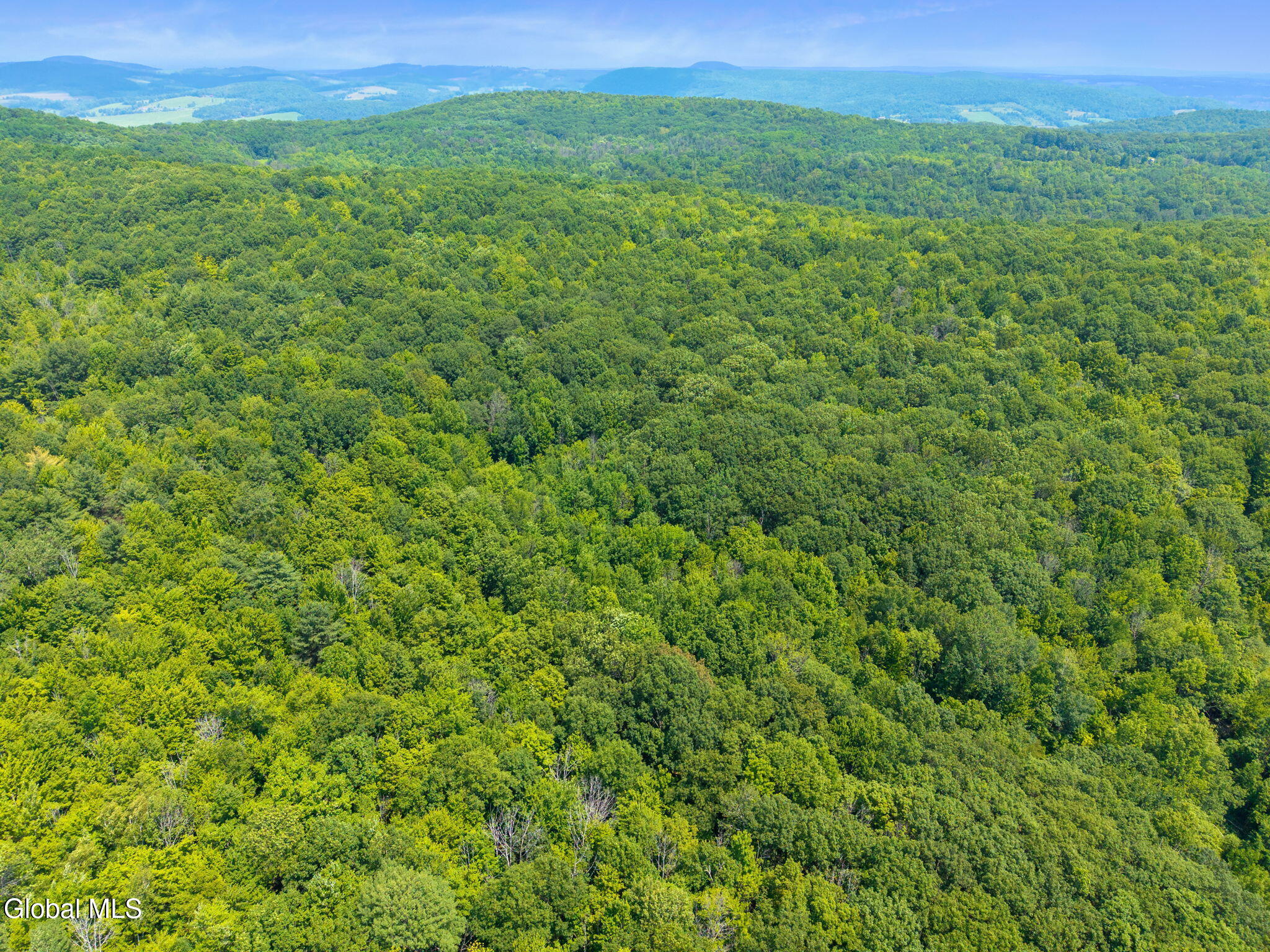 L7 Harroway Road Cobleskill, NY 12043 - Photo 12 of 44 14-HarrowayRd_14