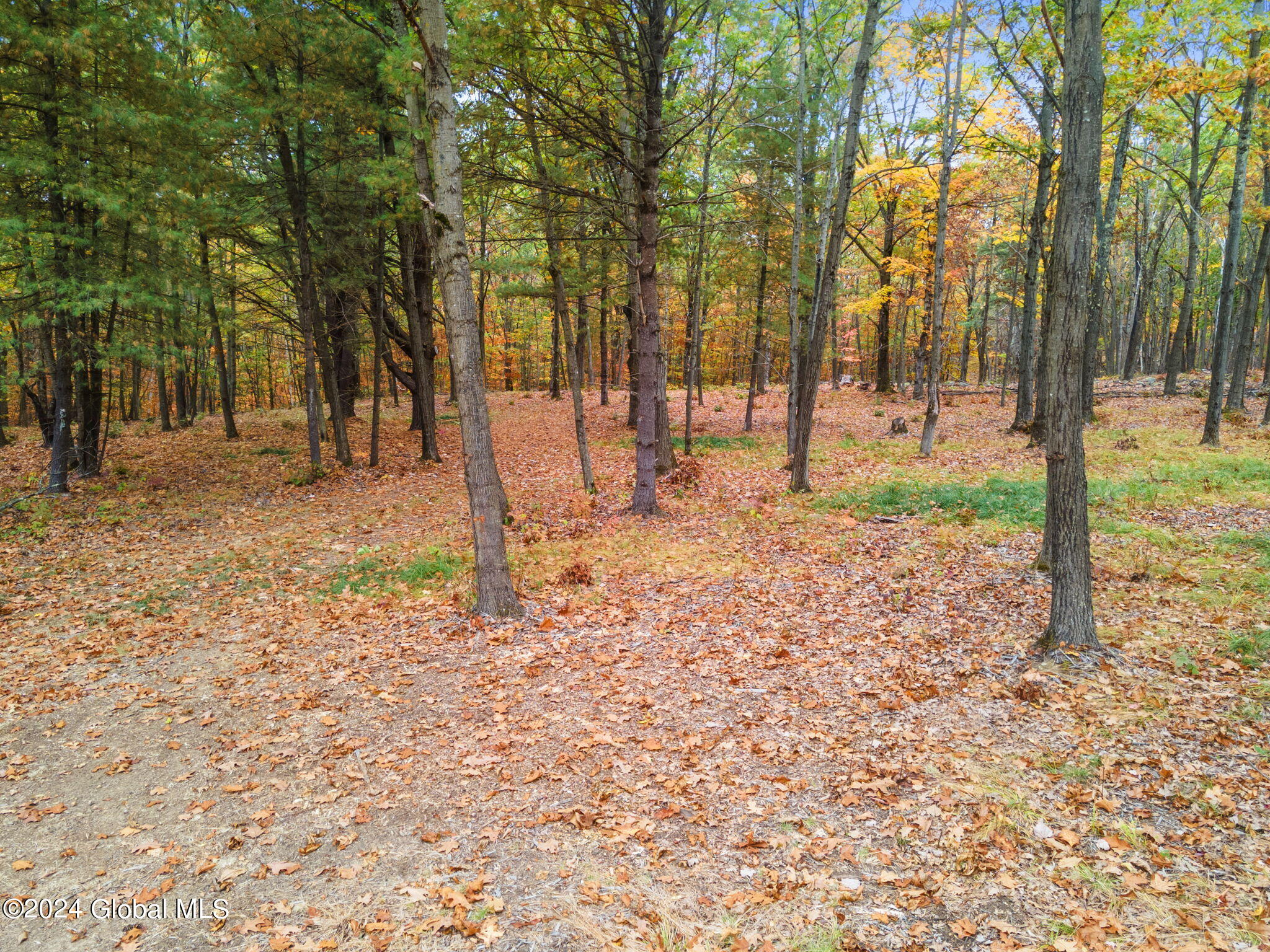 L7 Harroway Road Cobleskill, NY 12043 - Photo 14 of 44 3-L7HarrowayRd_03