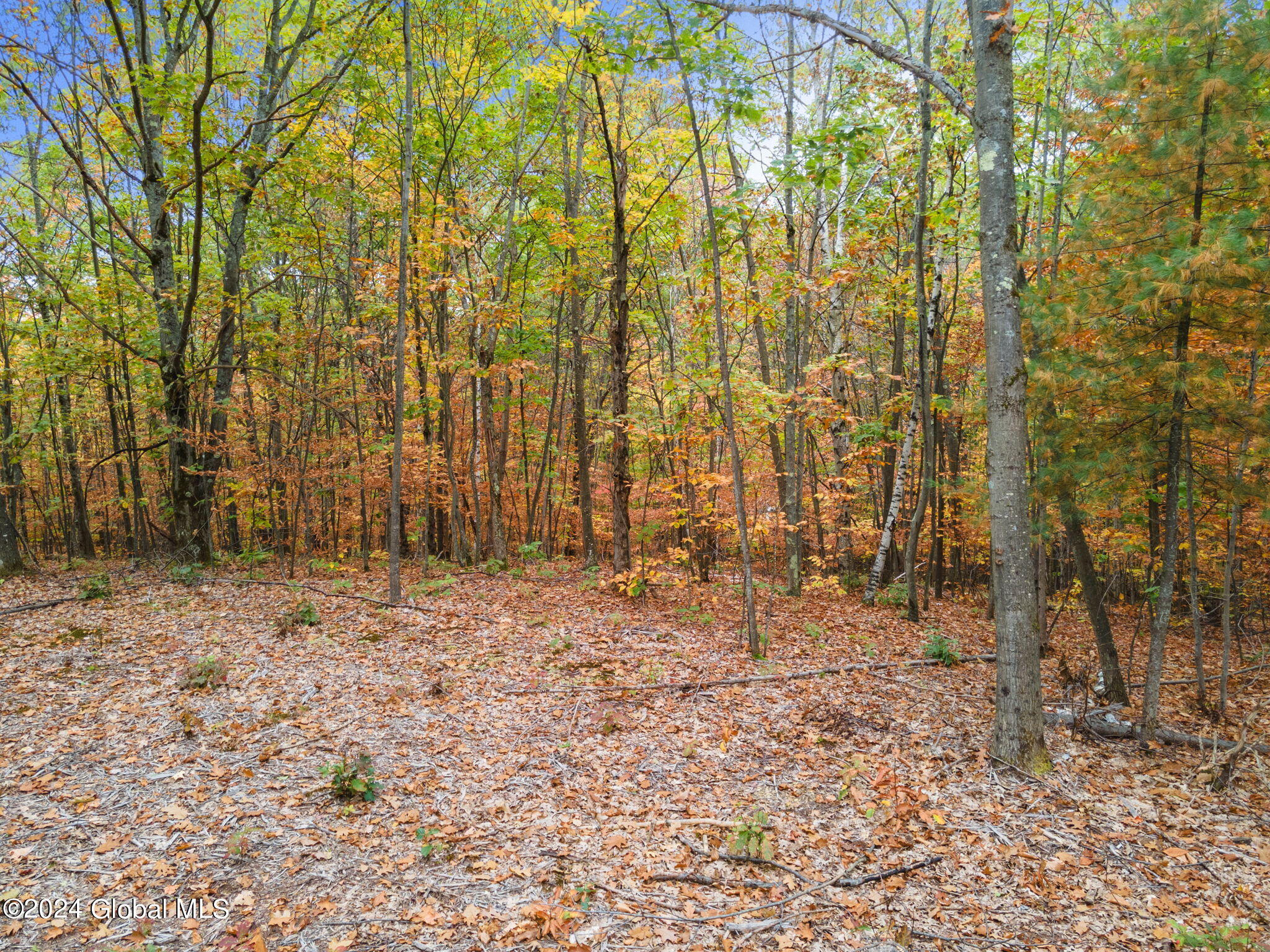 L7 Harroway Road Cobleskill, NY 12043 - Photo 15 of 44 5-L7HarrowayRd_05