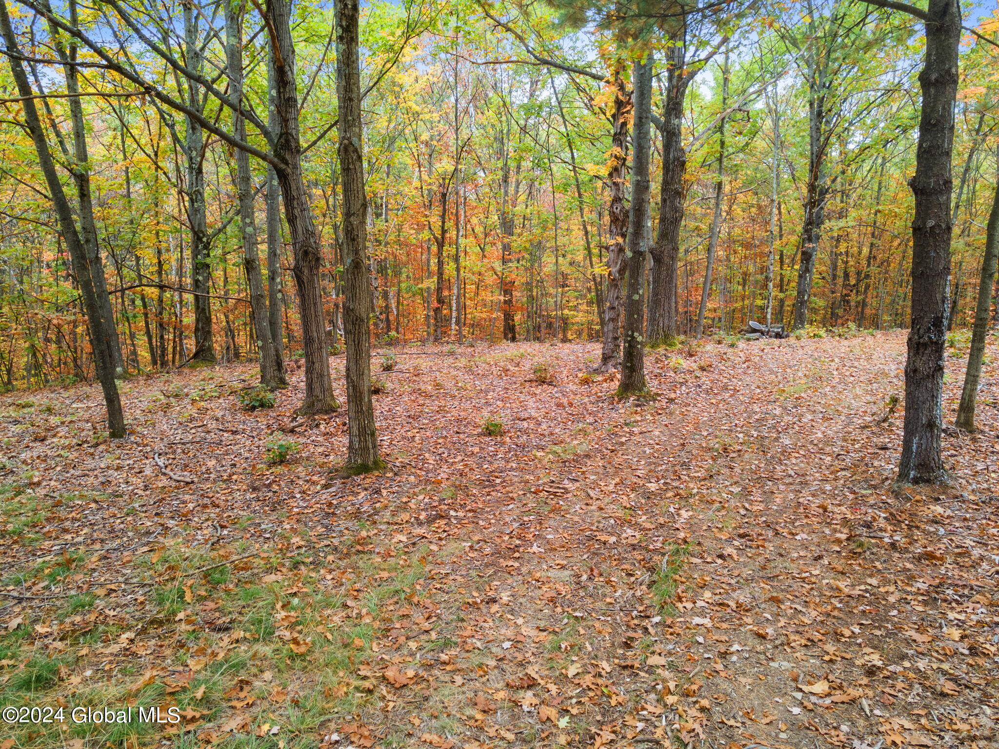 L7 Harroway Road Cobleskill, NY 12043 - Photo 16 of 44 4-L7HarrowayRd_04