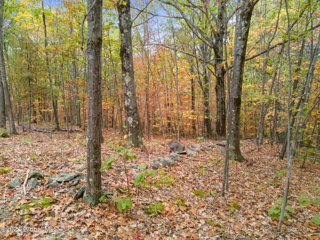 $84,900 | L7 Harroway Road, Cobleskill, NY 12043