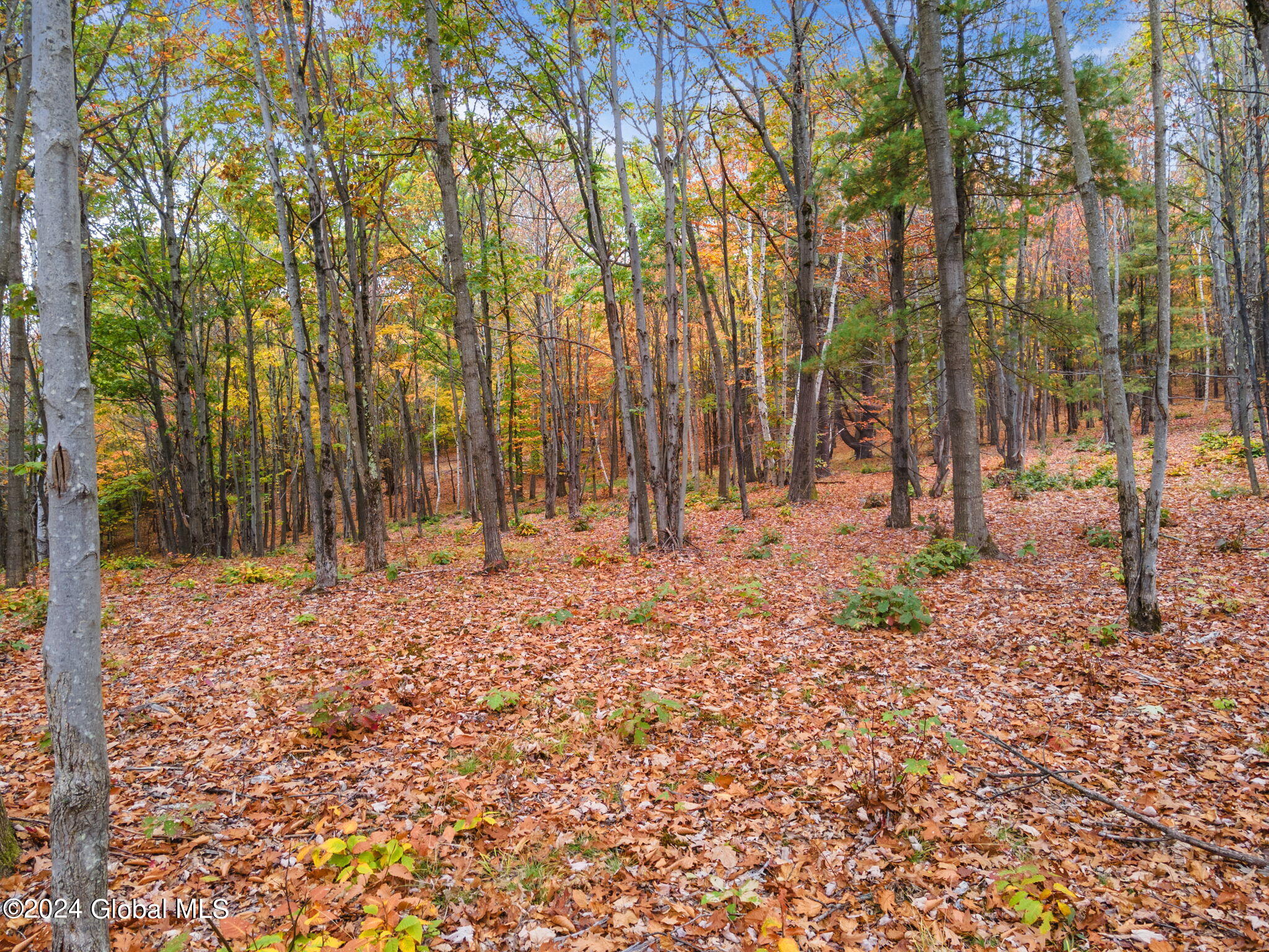 L7 Harroway Road Cobleskill, NY 12043 - Photo 18 of 44 19-L7HarrowayRd_19