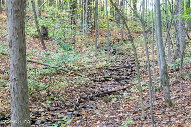 $84,900 | L7 Harroway Road, Cobleskill, NY 12043