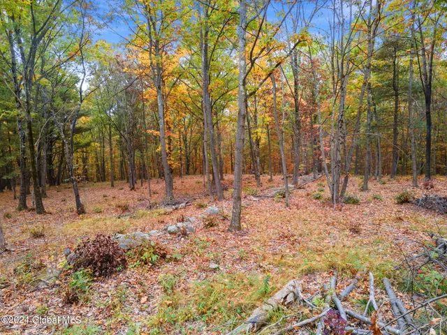 $84,900 | L7 Harroway Road, Cobleskill, NY 12043