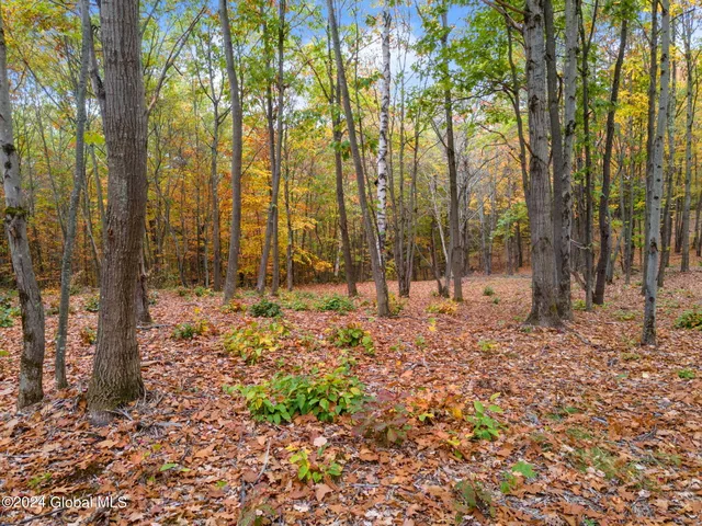 $84,900 | L7 Harroway Road, Cobleskill, NY 12043