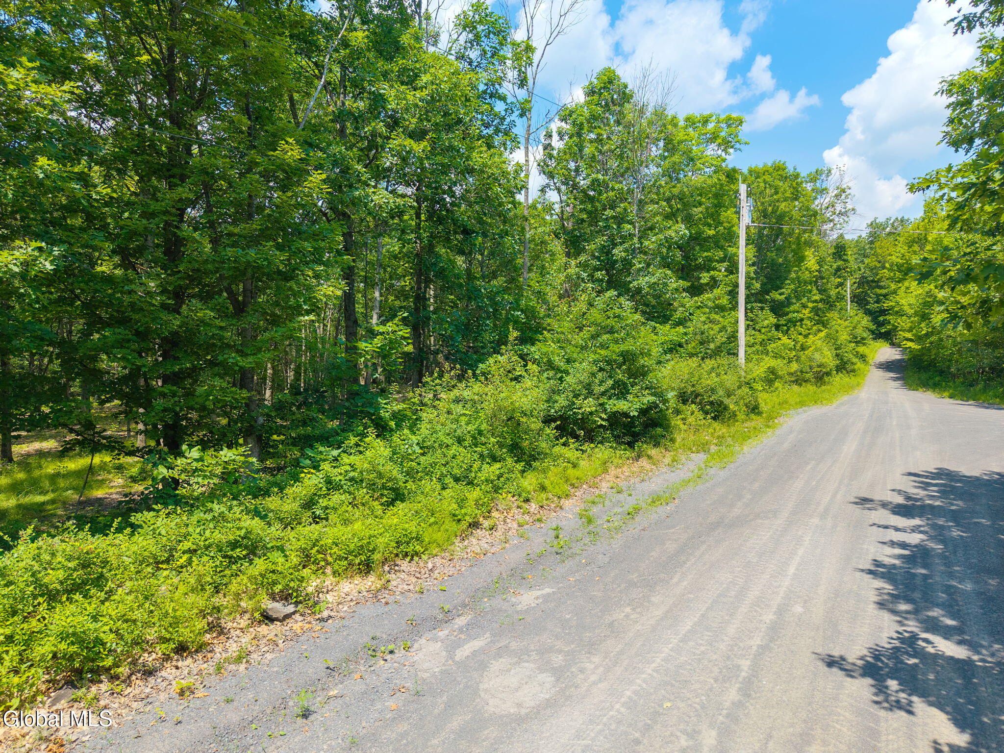 L7 Harroway Road Cobleskill, NY 12043 - Photo 2 of 44 2-HarrowayRd_02