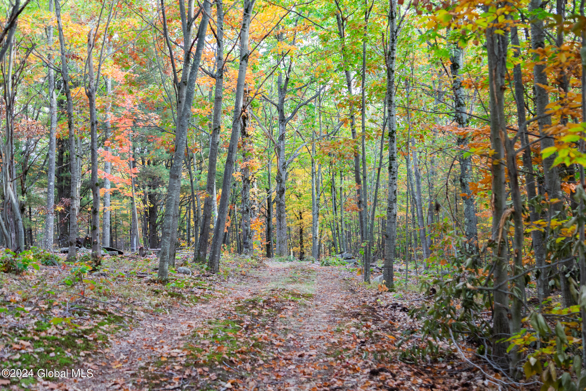 L7 Harroway Road Cobleskill, NY 12043 - Photo 21 of 44 176A6874