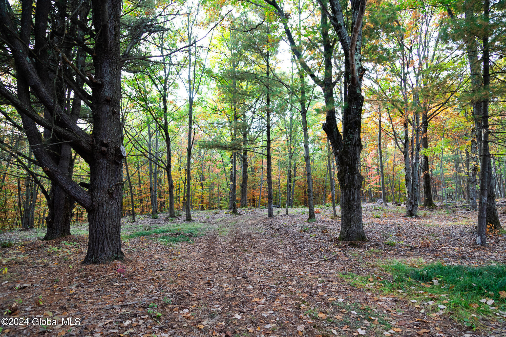 L7 Harroway Road Cobleskill, NY 12043 - Photo 23 of 44 176A6886