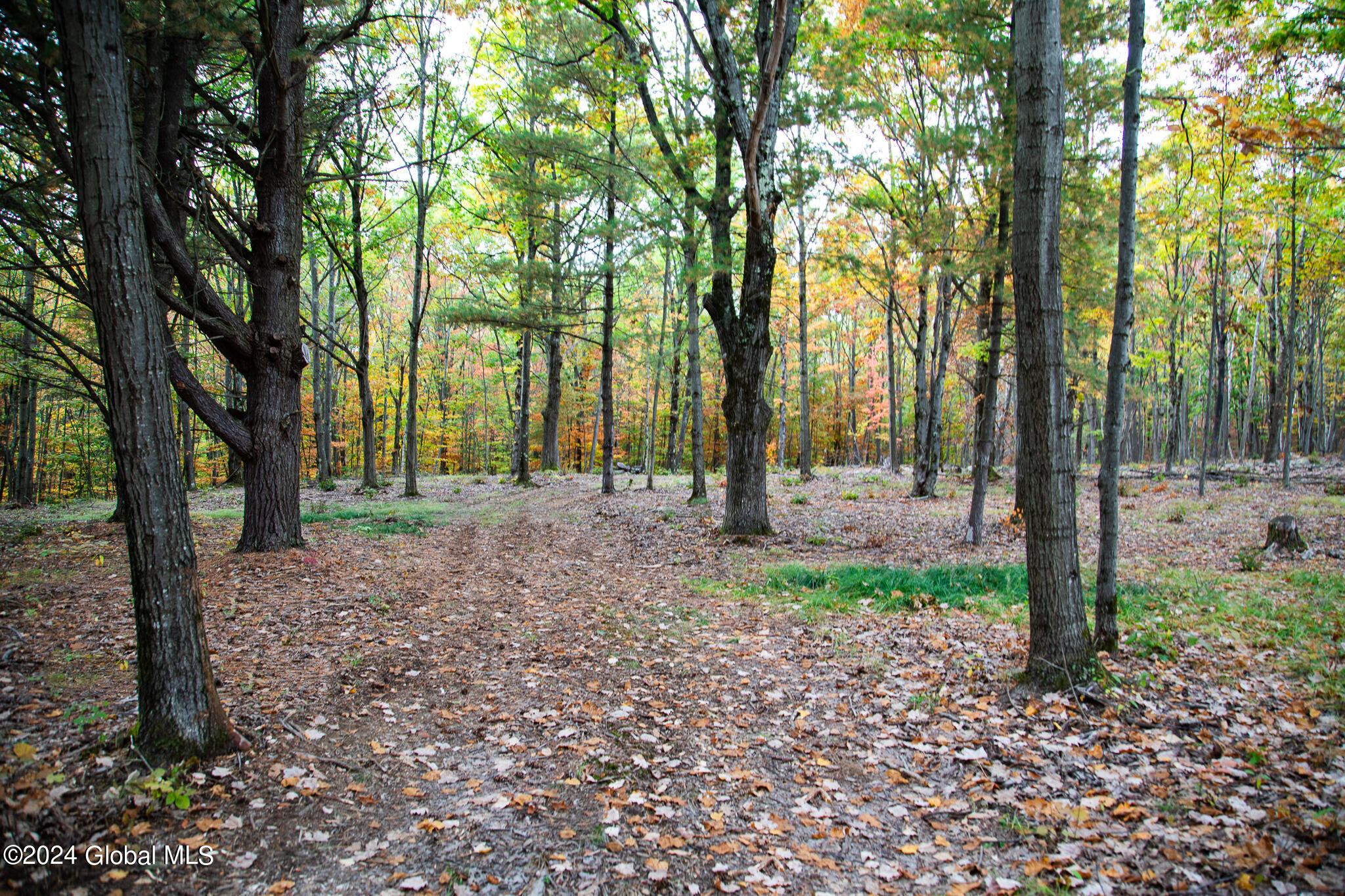 L7 Harroway Road Cobleskill, NY 12043 - Photo 25 of 44 176A6813-2