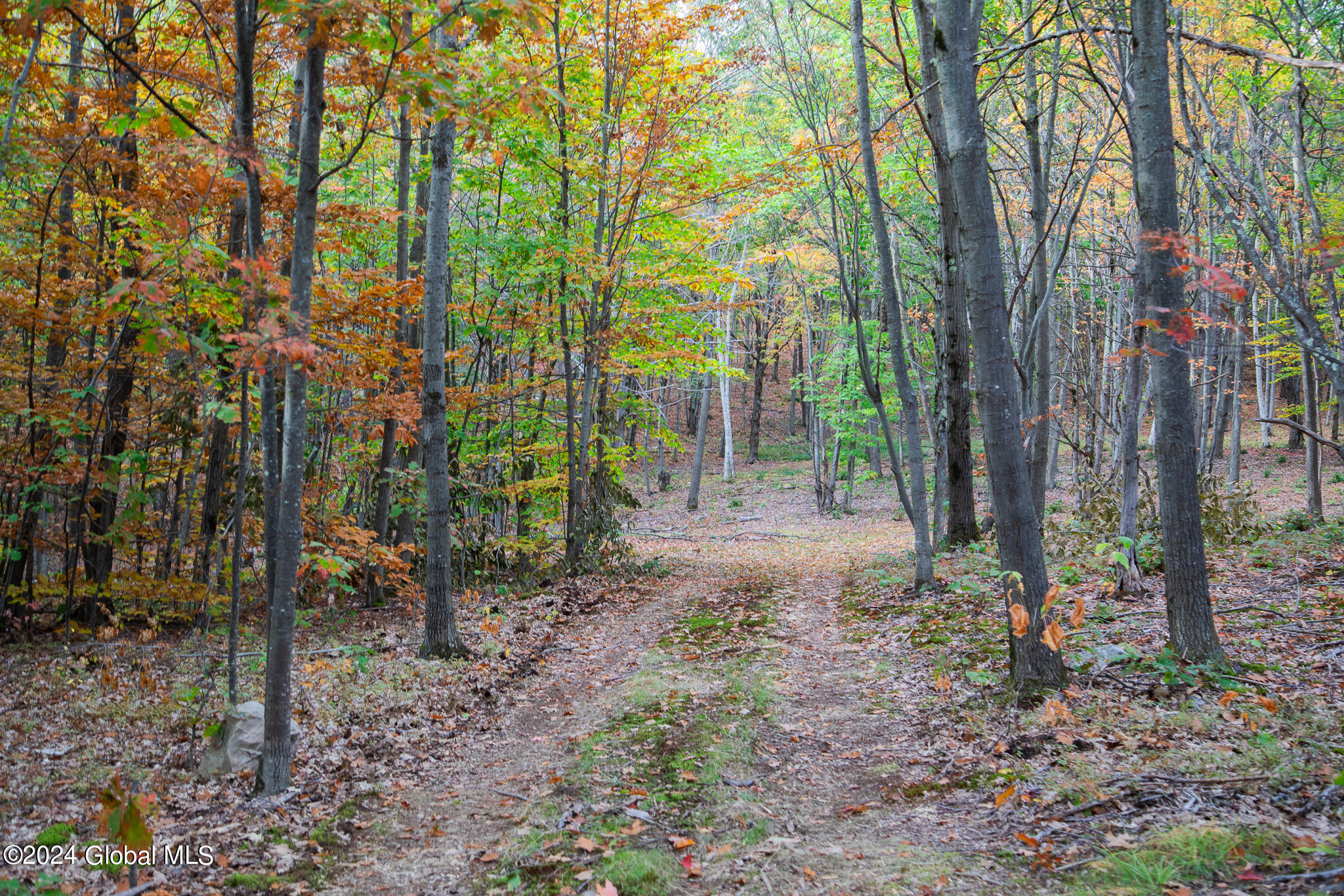 L7 Harroway Road Cobleskill, NY 12043 - Photo 26 of 44 176A6819