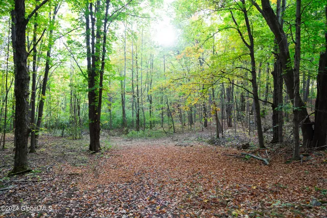 $84,900 | L7 Harroway Road, Cobleskill, NY 12043