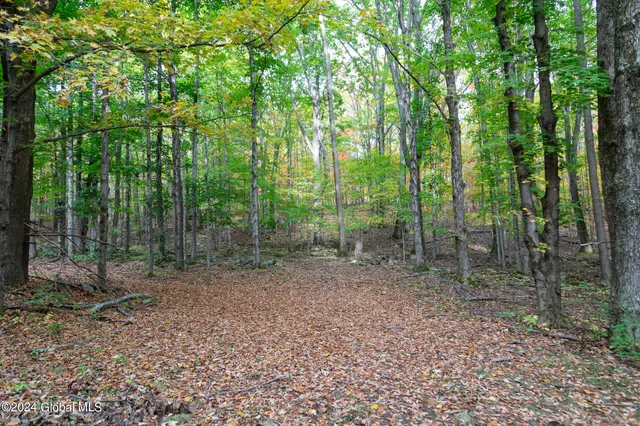 $84,900 | L7 Harroway Road, Cobleskill, NY 12043
