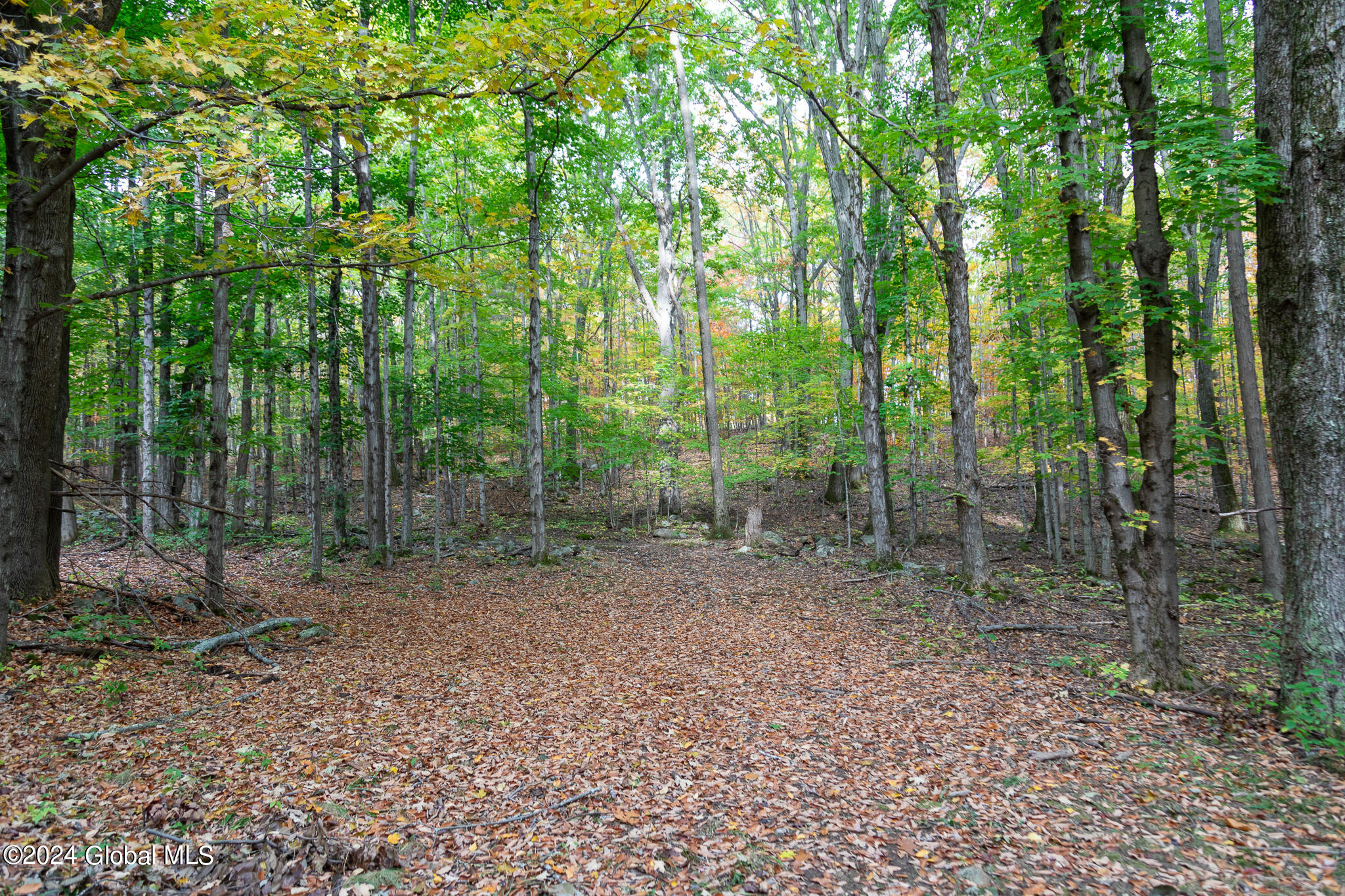 L7 Harroway Road Cobleskill, NY 12043 - Photo 30 of 44 176A6856