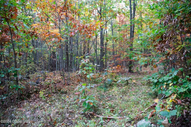 $84,900 | L7 Harroway Road, Cobleskill, NY 12043